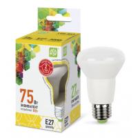 Лампа светодиодная LED-R63-standard 8Вт 230В Е27 720Лм ASD
